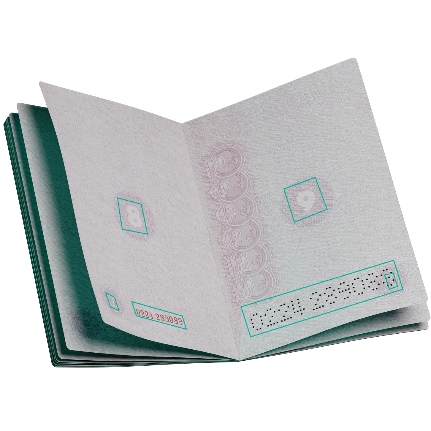 Номер паспорта и страницы