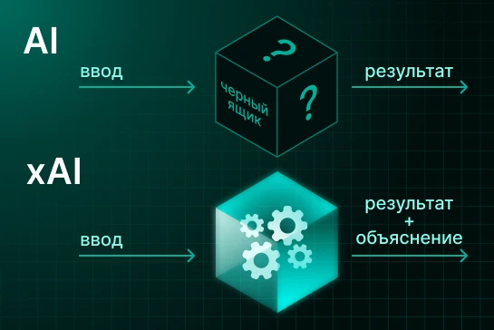 Выделение атрибутов и реквизитов с помощью NLP на основе методов XAI